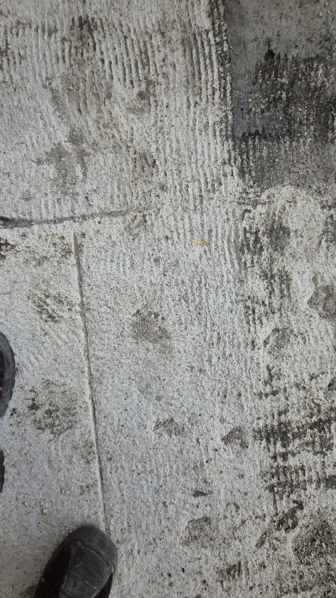 Service Image
